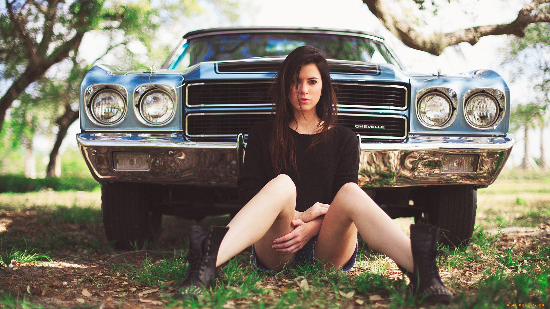 , -  , chevrolet, chevelle